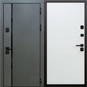 Дверь Бастион Техно Pro 9