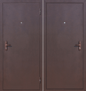 Металлическая дверь D-6