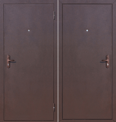 Металлическая дверь D-6