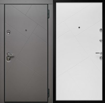 Металлическая дверь NEXT №3